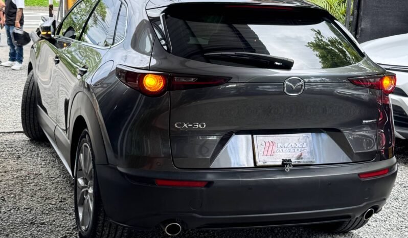 
								MAZDA CX30 TOURING AT 2.0 4X2 full									
