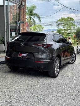 
										MAZDA CX30 TOURING AT 2.0 4X2 full									