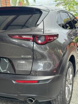 
										MAZDA CX30 TOURING AT 2.0 4X2 full									