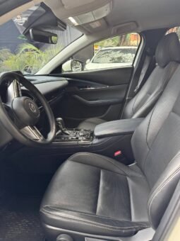 
										MAZDA CX30 TOURING AT 2.0 4X2 full									